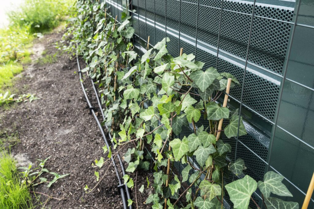 geluidscherm N3 met planten voor de begroeing